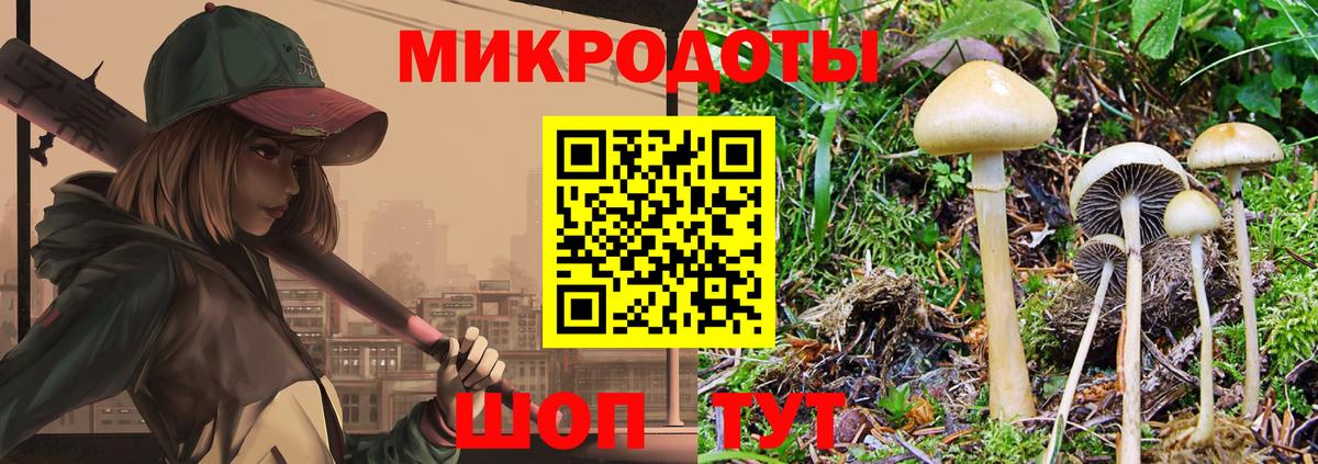 Псилоцибиновые грибы прущие грибы  купить наркотики цена  Жигулёвск  Галлюциногенные грибы MAGIC MUSHROOMS 
