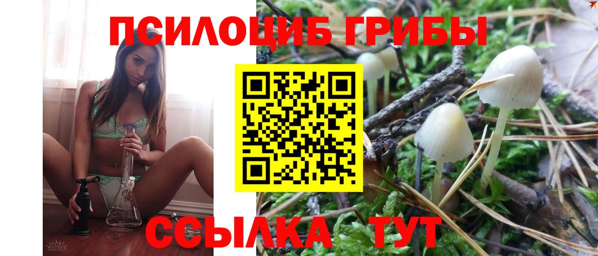 Жигулёвск  Галлюциногенные грибы Cubensis  Вход с VPN 